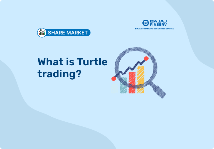 What is Turtle trading