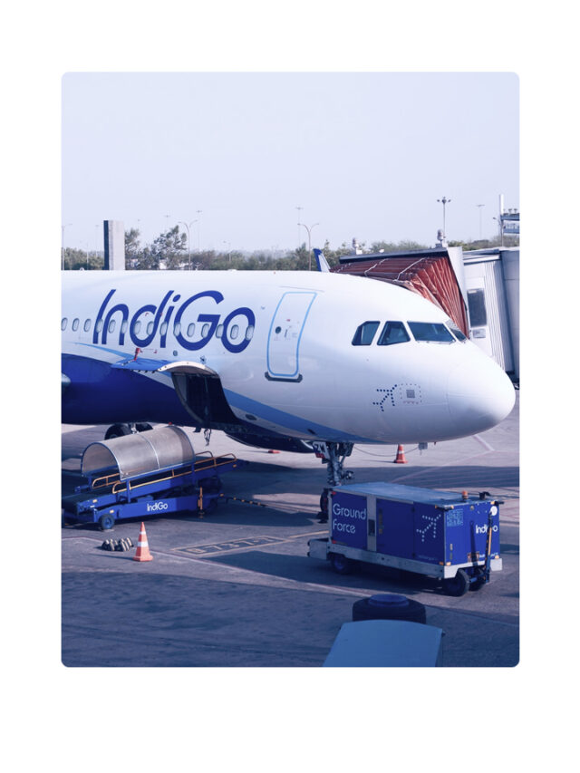 WebStory_Indigo_1_new