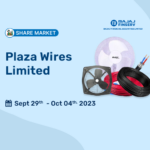 Plaza Wires Limited IPO