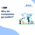 Why do companies go public?